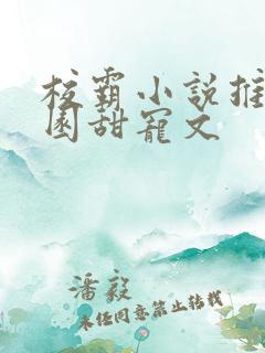 校霸小说推荐校园甜宠文