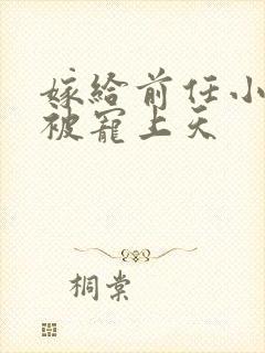 嫁给前任小叔后被宠上天