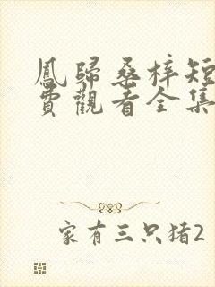 凤归桑梓短剧免费观看全集播放
