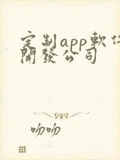 定制app软件开发公司