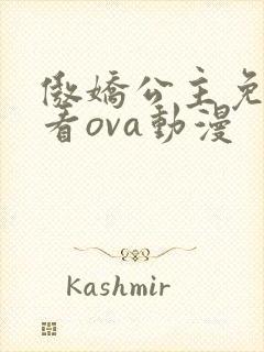 傲娇公主免费观看ova动漫
