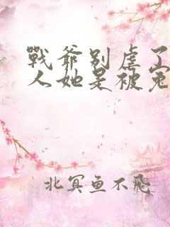 战爷别虐了,夫人她是被冤枉的免费阅读