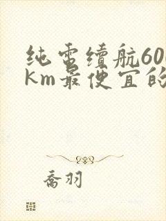 纯电续航600km最便宜的新能源