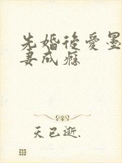 先婚后爱墨少宠妻成瘾