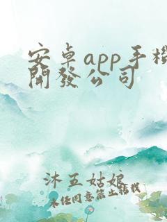 安卓app手机开发公司