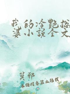 我的冷艳总裁老婆小说全文阅读