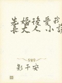 先婚后爱我的市长大人 小说
