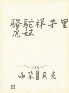 骆驼祥子里面的虎妞