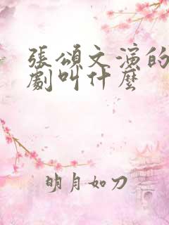 张颂文演的谍战剧叫什么