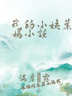 我的小姨叶凡司嫣小说