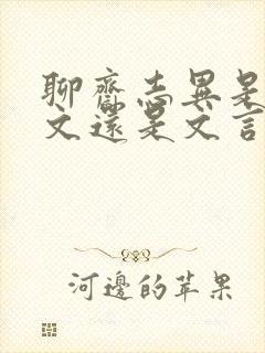 聊斋志异是白话文还是文言文