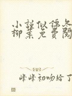 小说似锦冬天的柳叶免费阅读原文