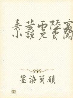 秦若雨陆宴钦的小说免费阅读无弹窗