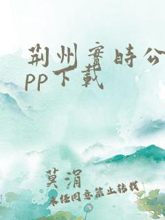 荆州实时公交app下载