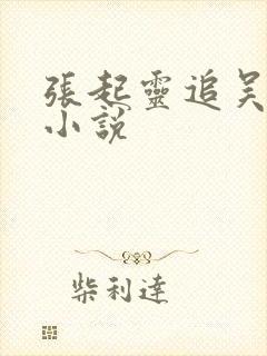 张起灵追吴邪的小说