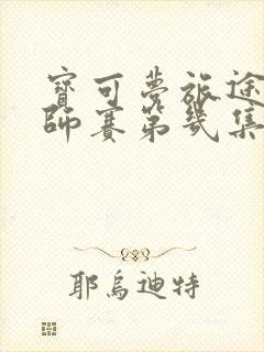 宝可梦旅途八大师赛第几集