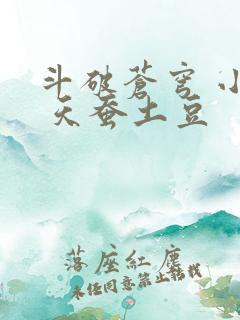 斗破苍穹 小说 天蚕土豆