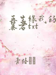 再生缘我的温柔暴君txt