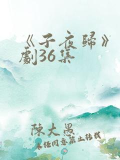 《子夜归》电视剧36集
