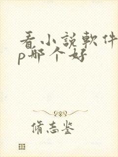 看小说软件app哪个好