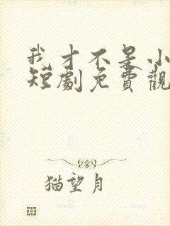 我才不是小可怜短剧免费观看