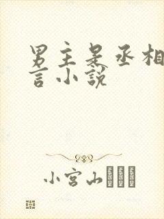 男主是丞相的古言小说