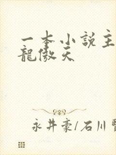 一本小说主角叫龙傲天
