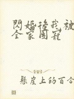 闪婚后我被老公全家团宠
