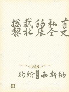 总裁的私有宝贝黎北辰全文免费阅读全文