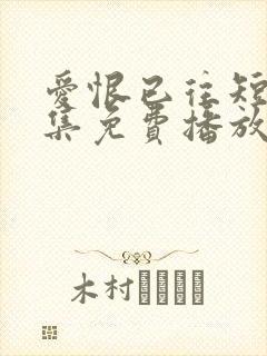 爱恨已往短剧全集免费播放