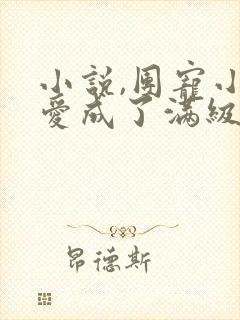 小说,团宠小可爱成了满级大佬
