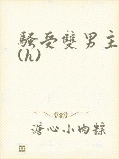 骚受双男主小说(h)