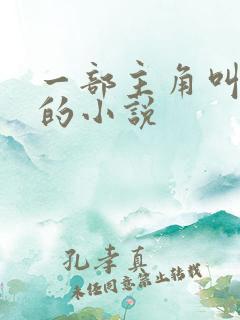 一部主角叫叶辰的小说