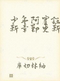 少年阿宾钰慧最新章节更新