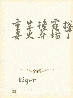 重生后霸总们追妻火葬场了