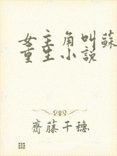女主角叫苏禾的重生小说