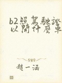 b2照驾驶证可以开什么车