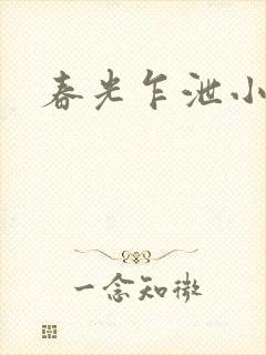 春光乍泄小说
