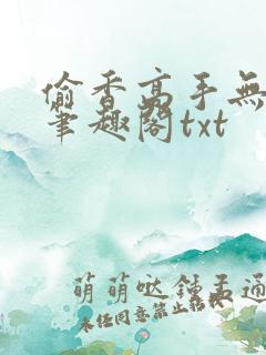 偷香高手无删减笔趣阁txt