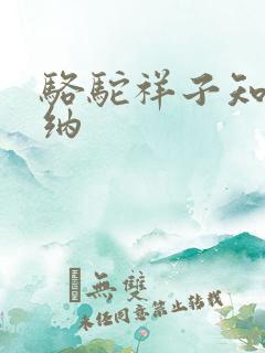 骆驼祥子知识归纳