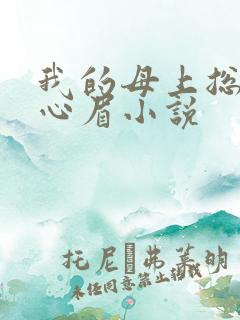 我的母上总裁秦心眉小说