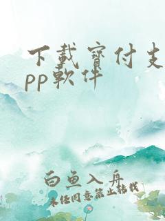 下载宝付支付app软件
