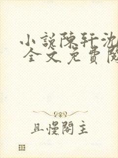 小说陈轩沈冰岚 全文免费阅读