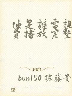 他是谁电视剧免费播放完整版