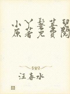 小丫鬟苹儿小说原著免费阅读