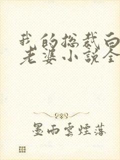 我的总裁白富美老婆小说全文在线阅读
