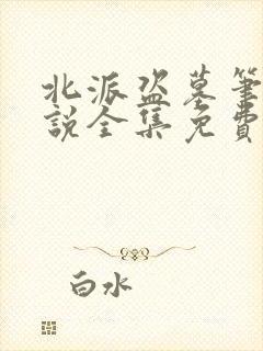 北派盗墓笔记小说全集免费
