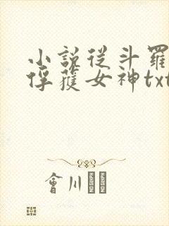 小说从斗罗开始俘获女神txt下载