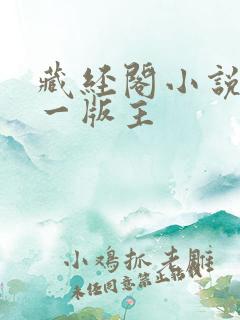 藏经阁小说网第一版主