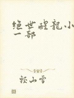 绝世醒龙小说第一部